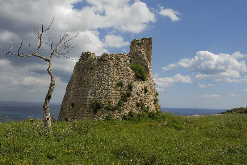 Marina di Torre Nasparo