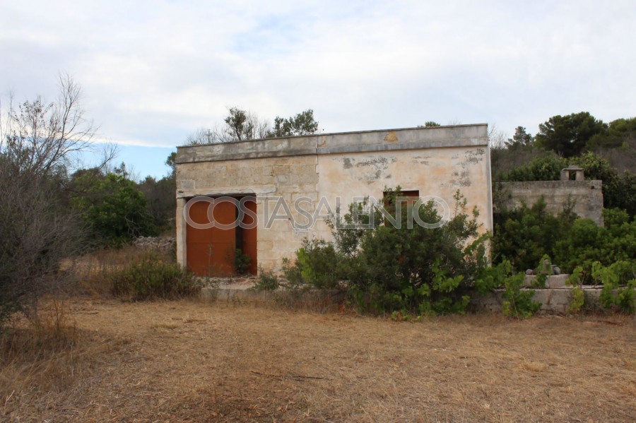 Terreno torre pali