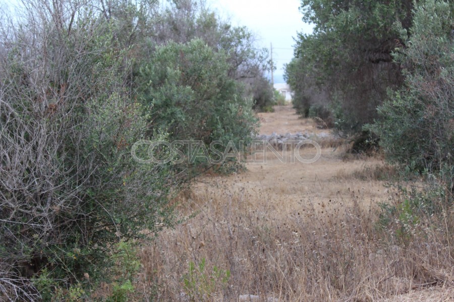 Terreno torre pali