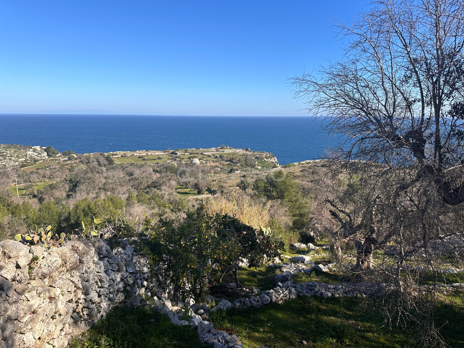 Terrazza del Mare