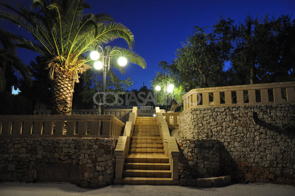 Pajara Stella Marina