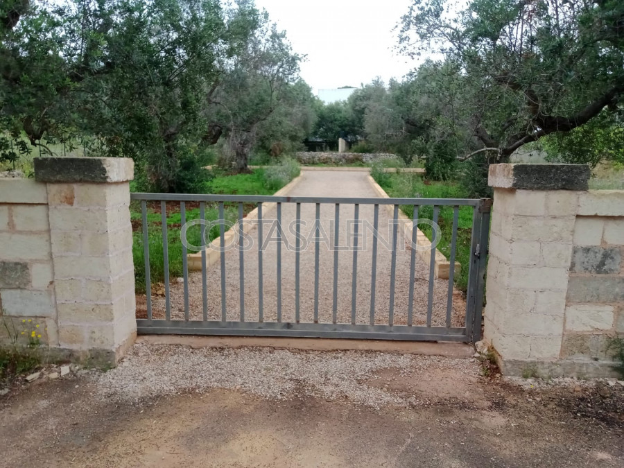 LA LAVANDA