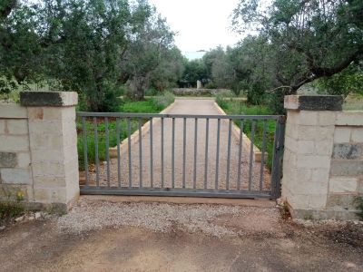 LA LAVANDA