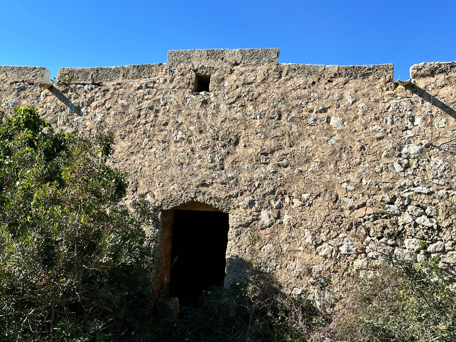 Oasi nel verde