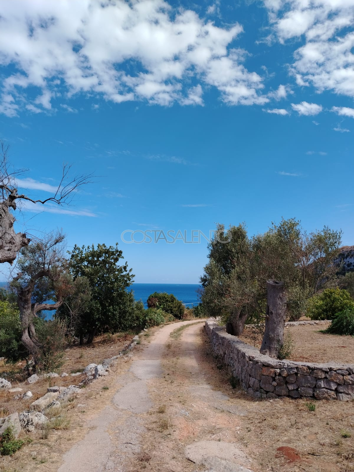 Il Sentiero del Nemico