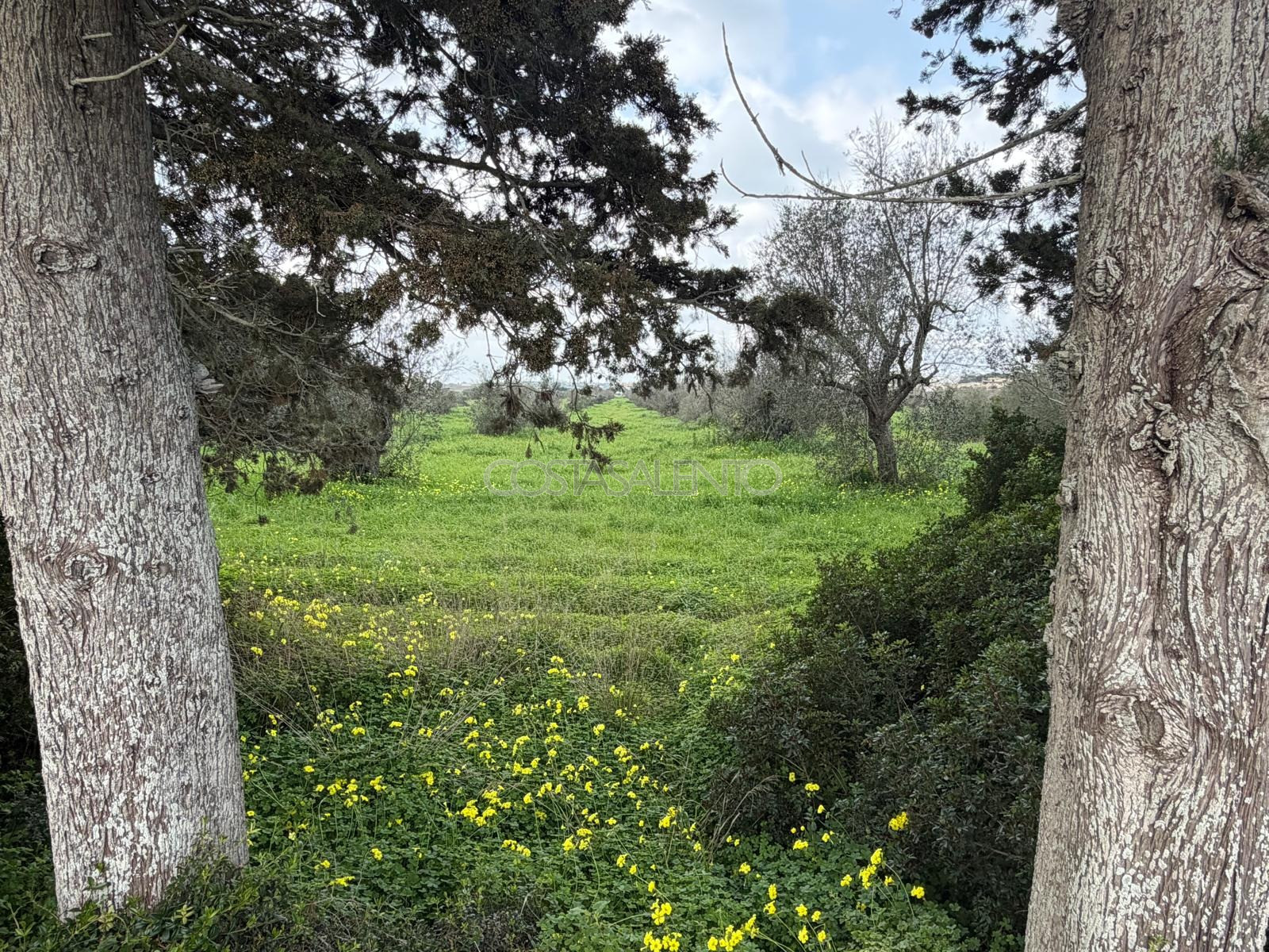 Terreno con Progetto a 1,5 km dal Mare