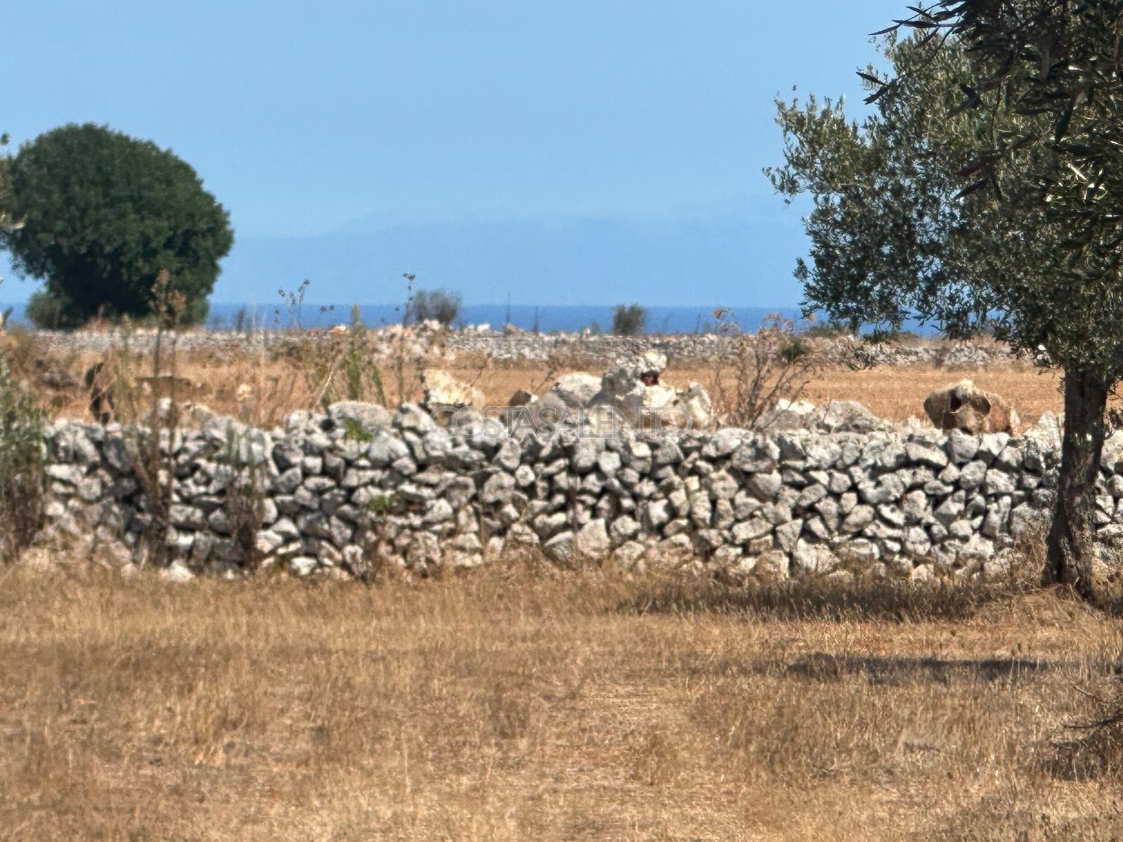 Terreno Nasparo