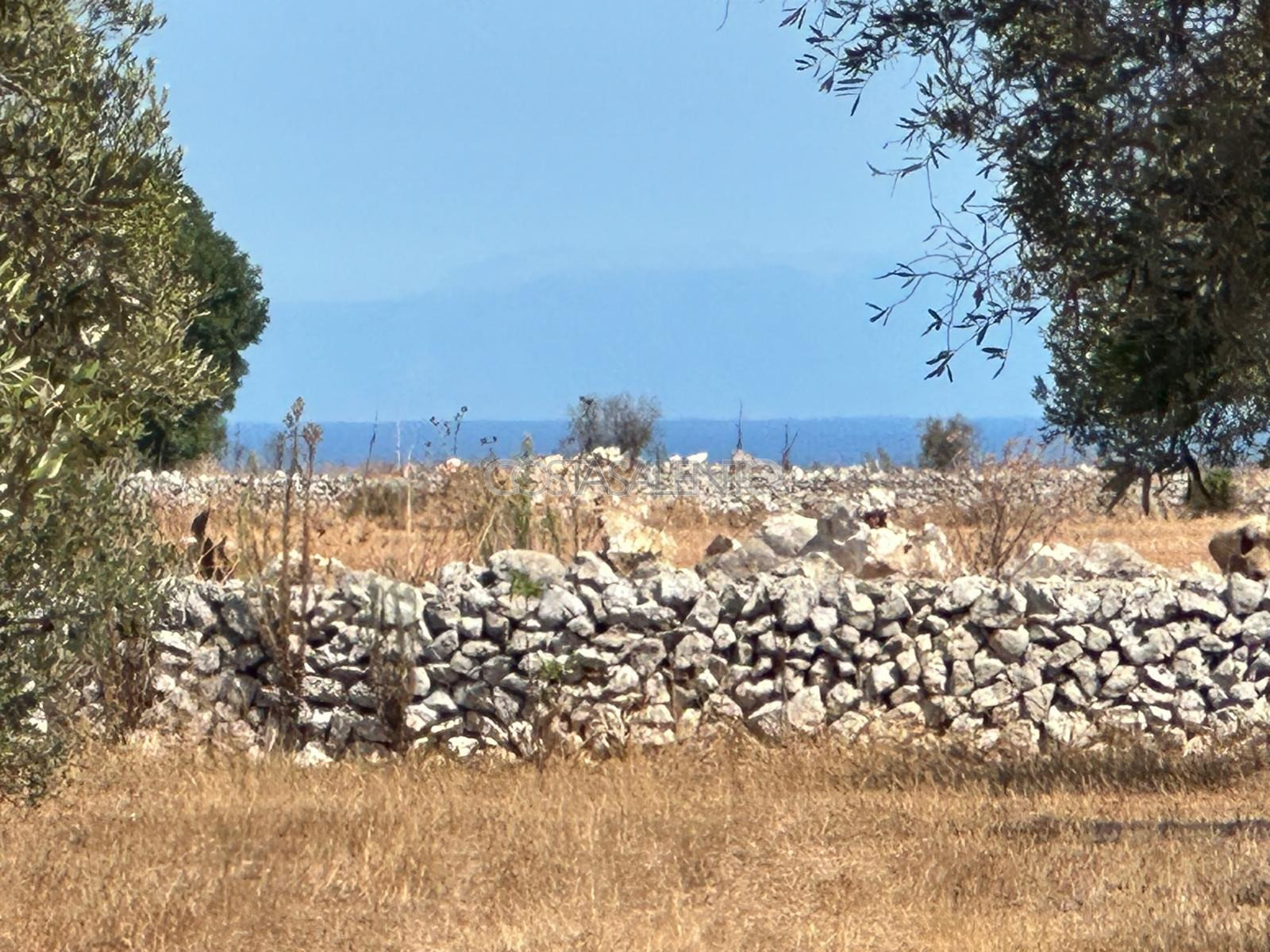 Terreno Nasparo