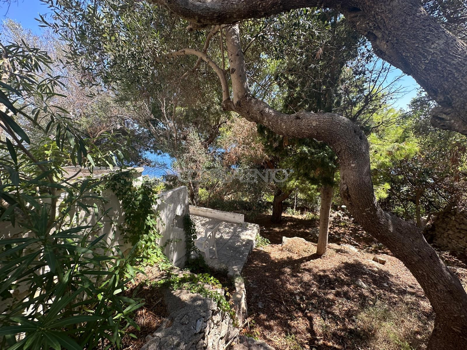 Villa Martina