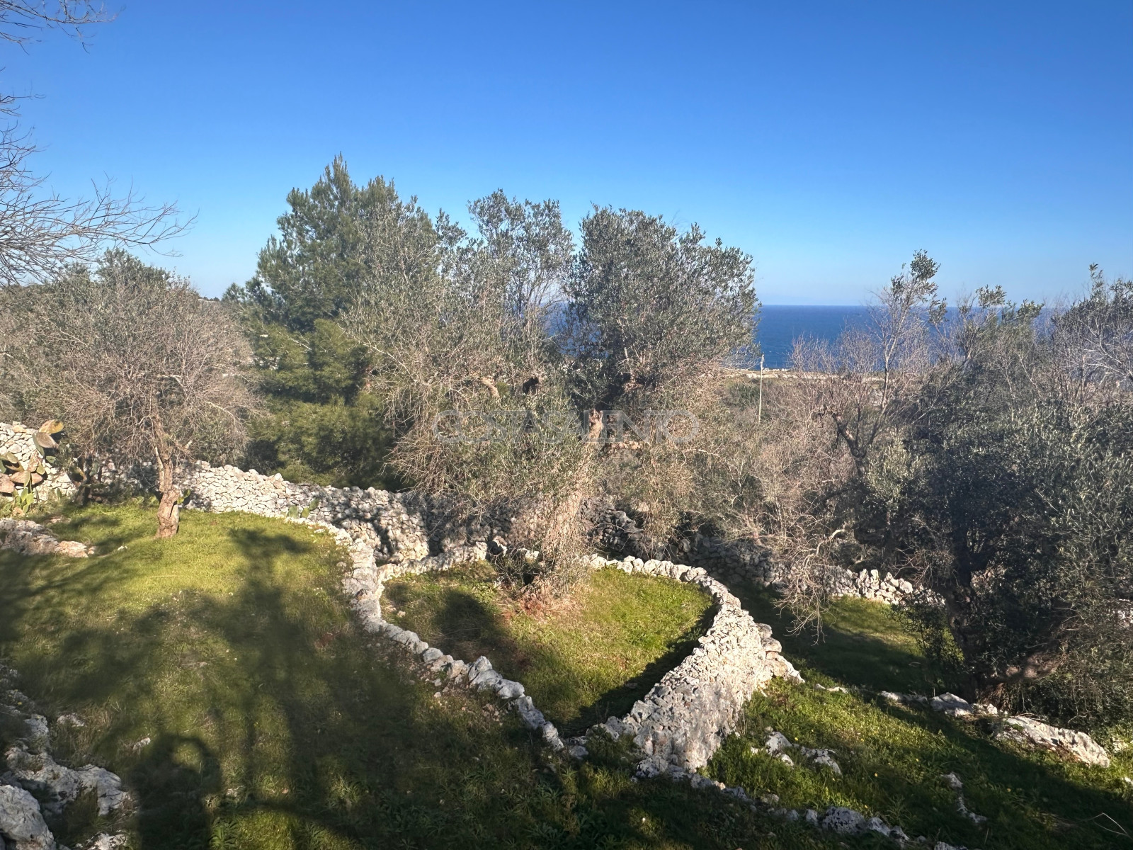 Terrazza del Mare