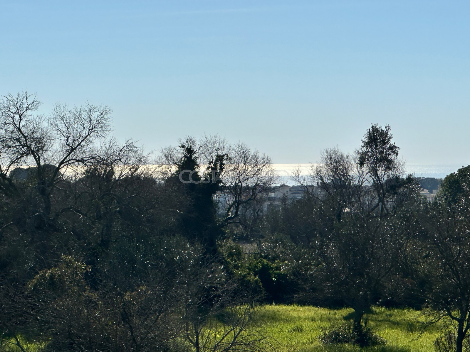 Oasi nel verde