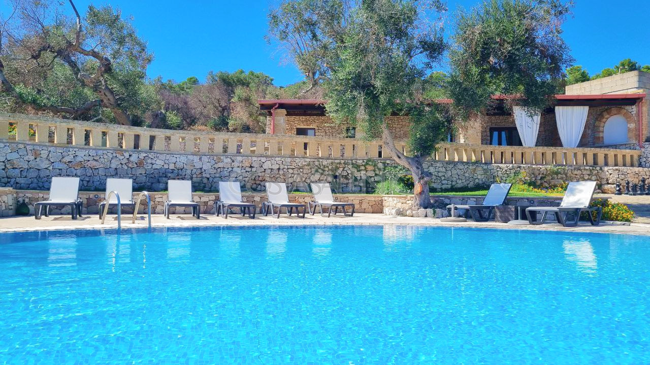 Pajara Stella Marina