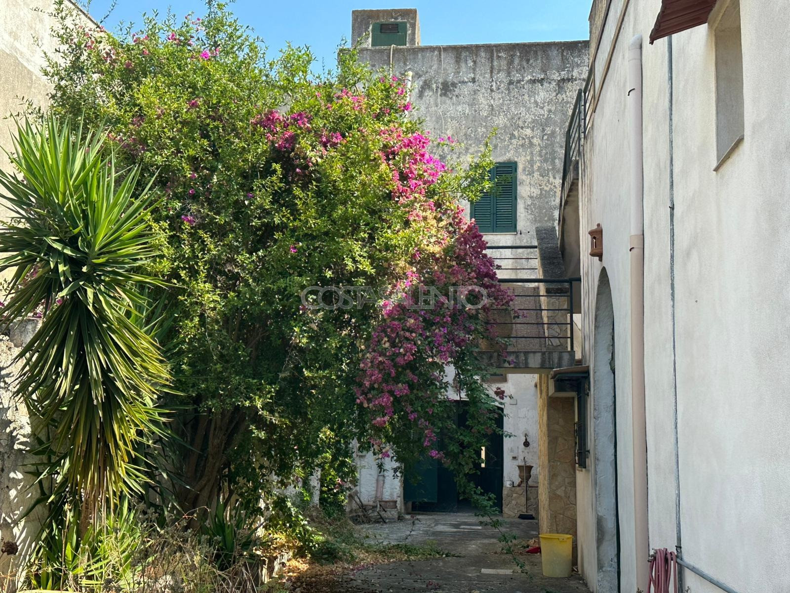 Il Frantoio