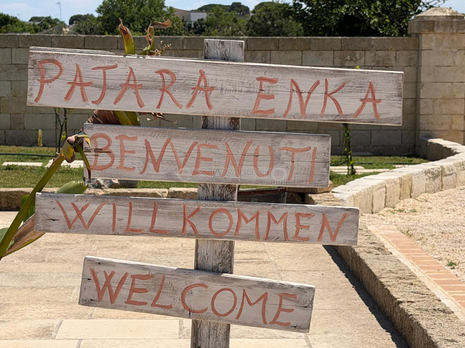 Pajara Enka