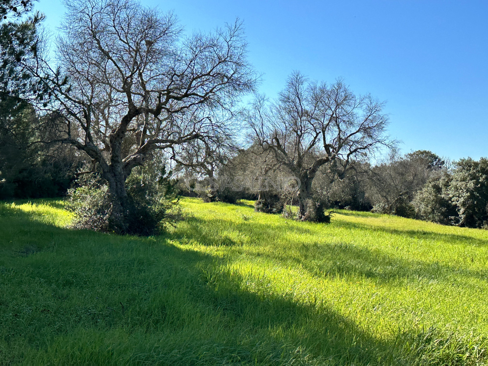 Oasi nel verde