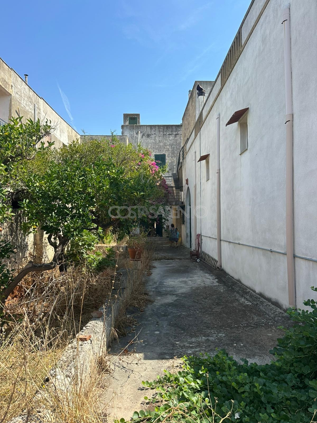 Il Frantoio