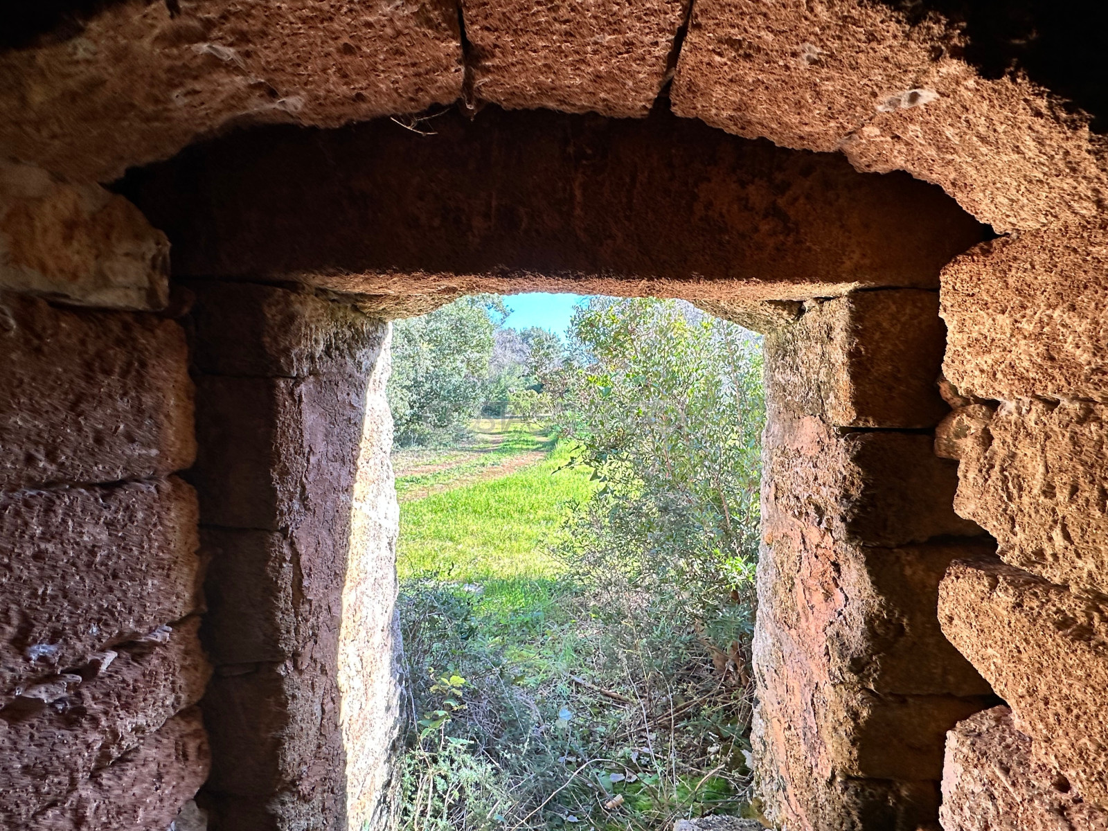 Oasi nel verde
