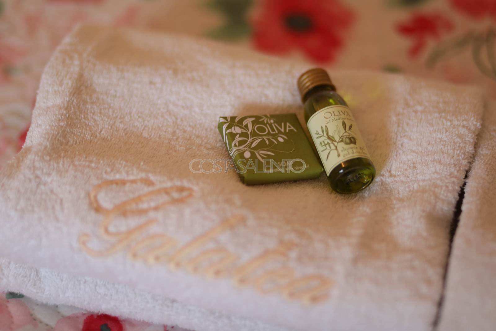 Pajara Stella Marina