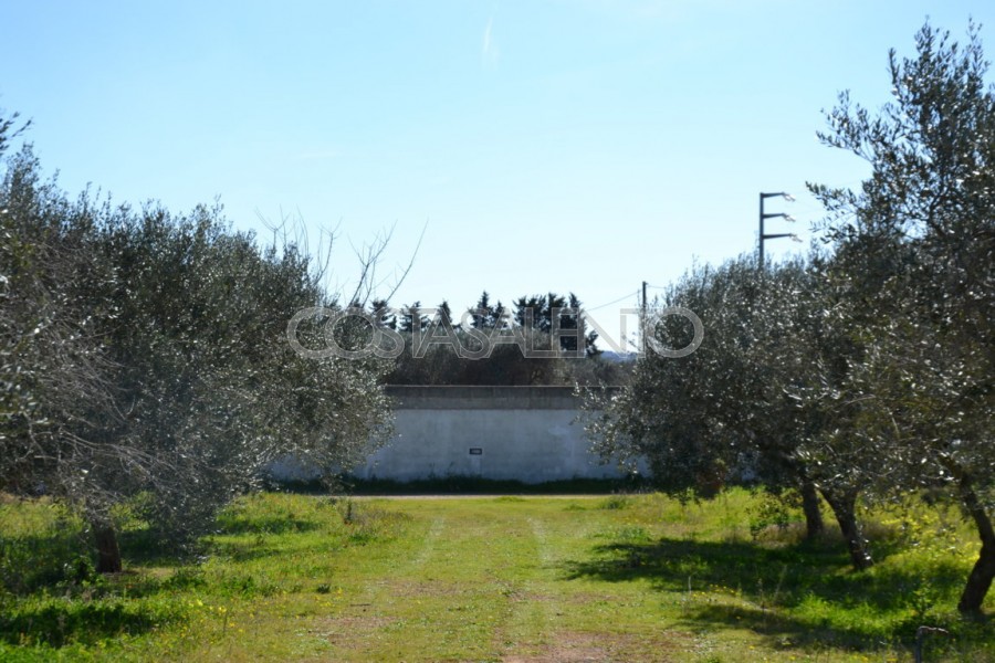 La nuova masseriola di Specchia