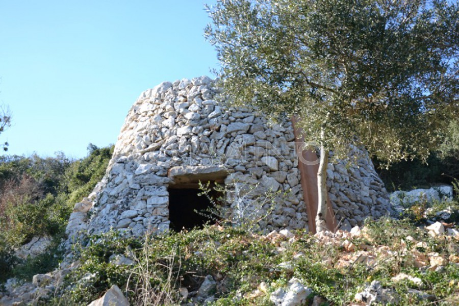 Terreno Marcaccio