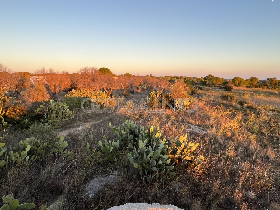 Terreno con progetto approvato