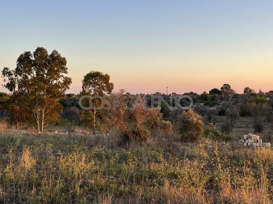 Terreno con progetto approvato