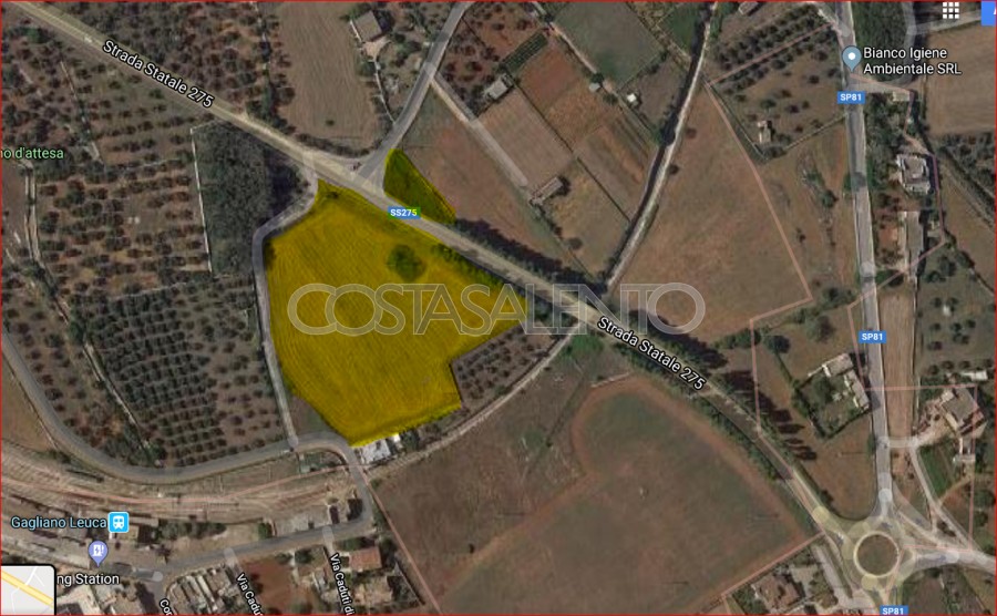 TERRENO AGRICOLO SU SS 275