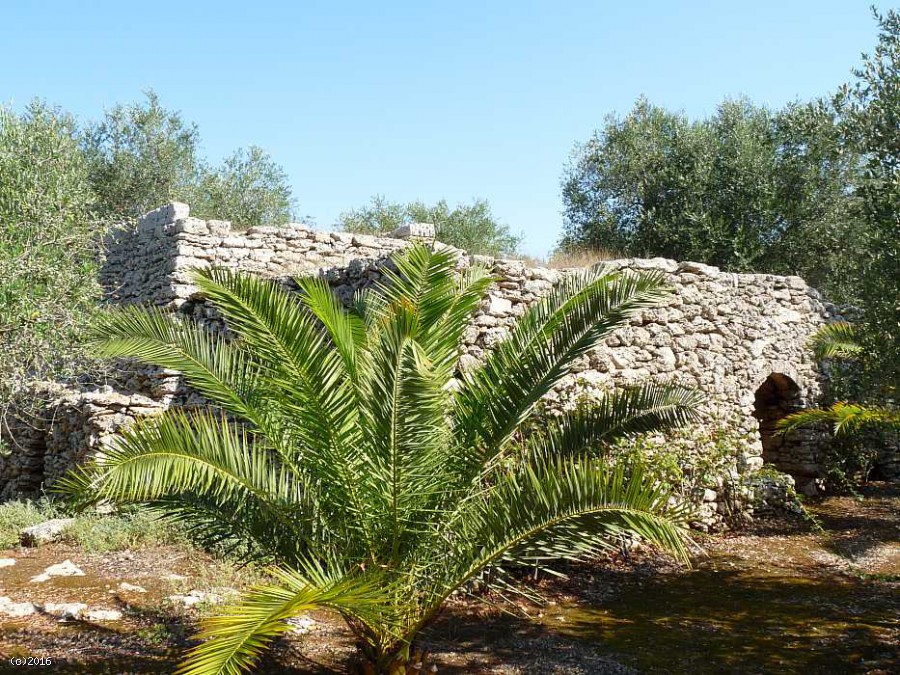 Terreno Agricolo a Depressa