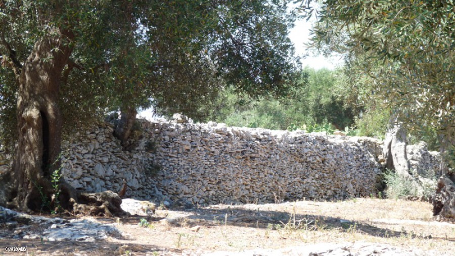 Terreno I Menhir