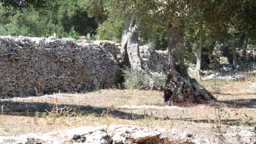 Terreno I Menhir