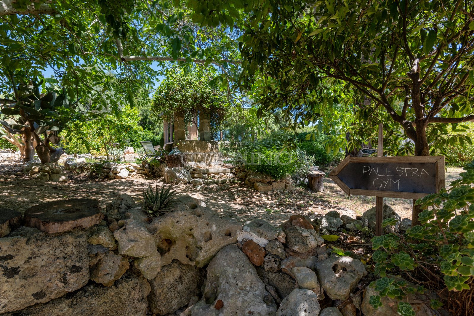 Masseria Scippi
