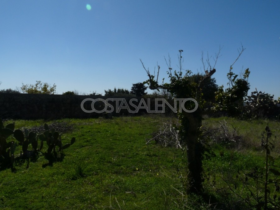 CASA INDIPENDENTE CON AMPIO GIARDINO