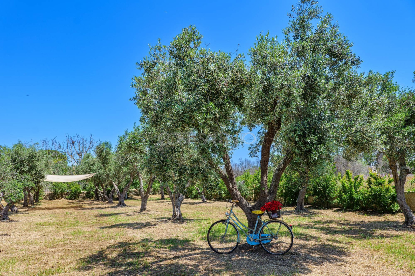 Tenuta Trebbia