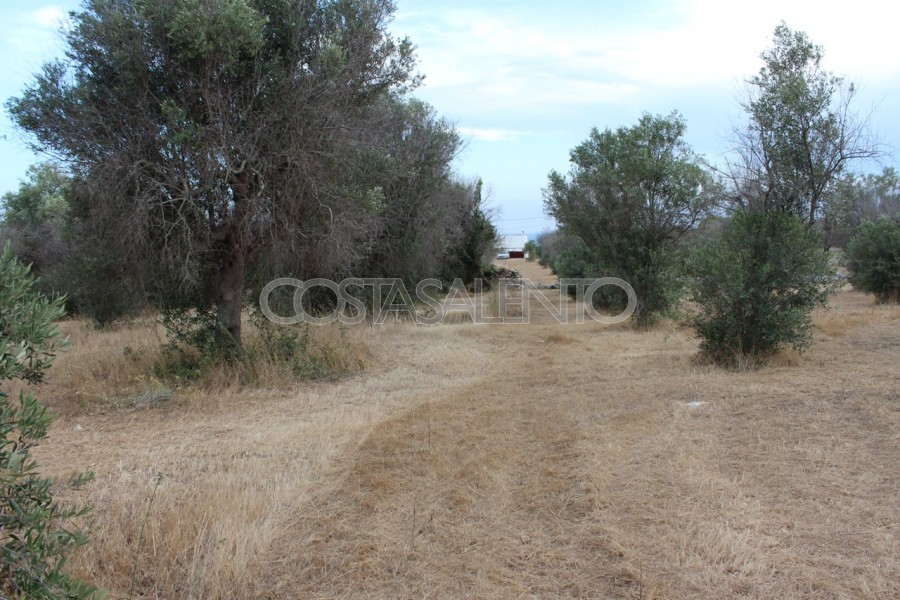 Terreno torre pali