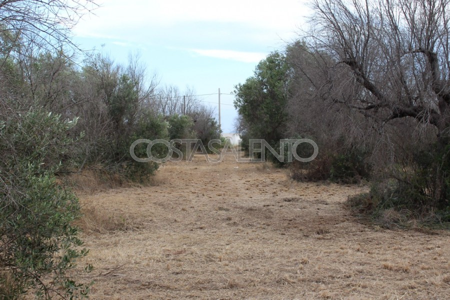 Terreno torre pali