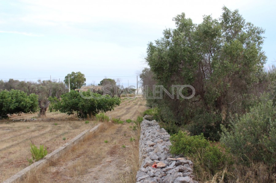 Terreno torre pali