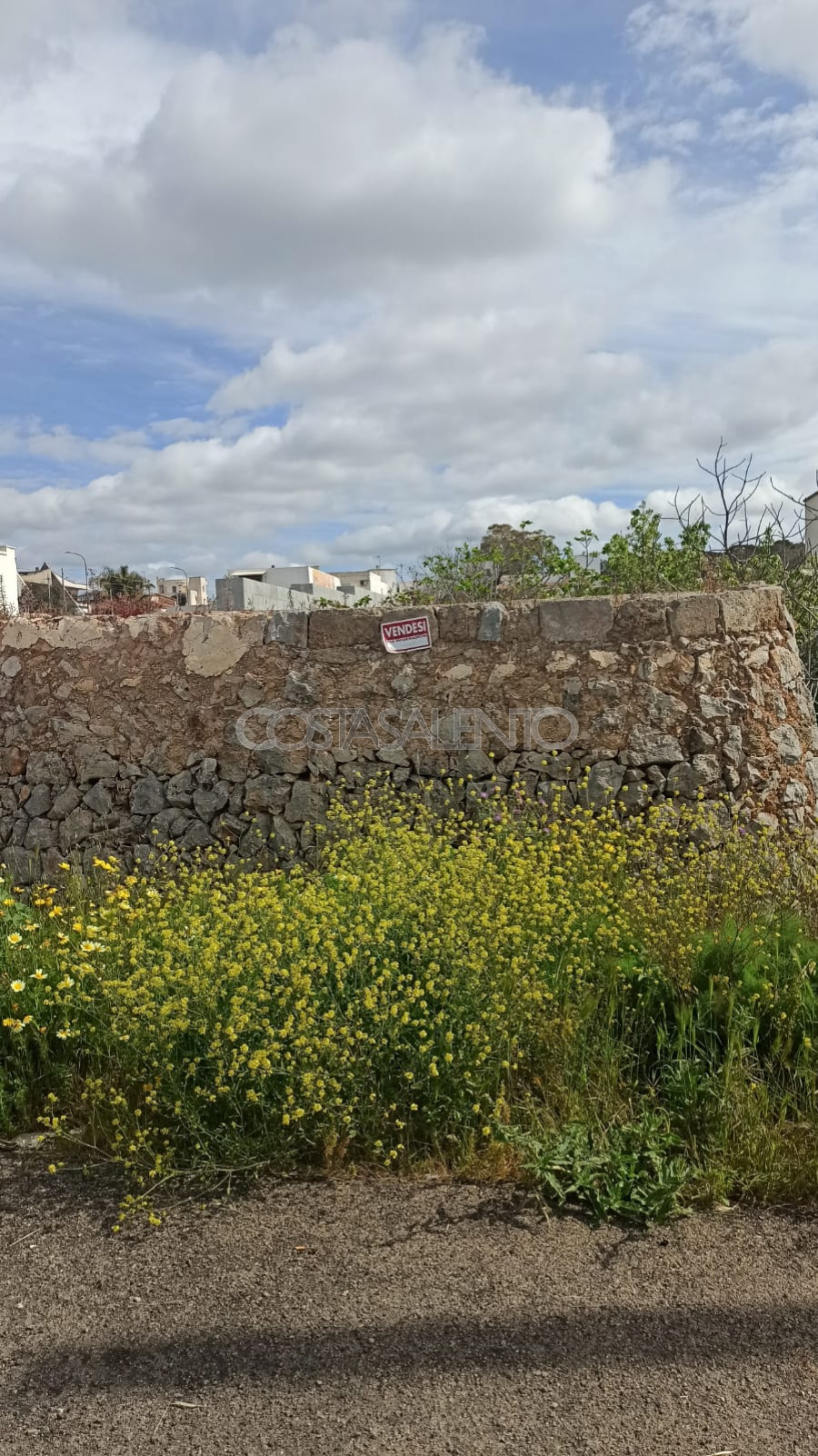 Terreno con Pajara