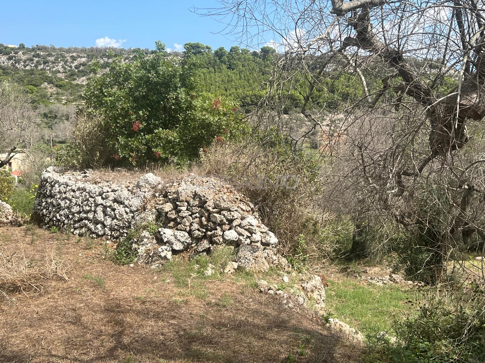 Terreno con progetto approvato