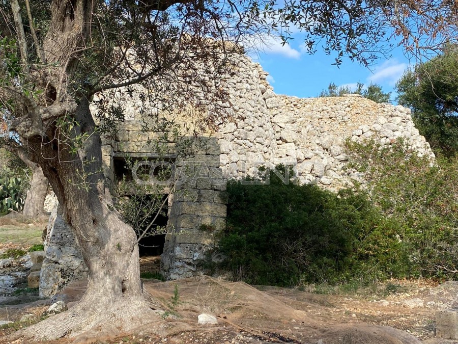 PAJARE MONUMENTALI VISTA MARE