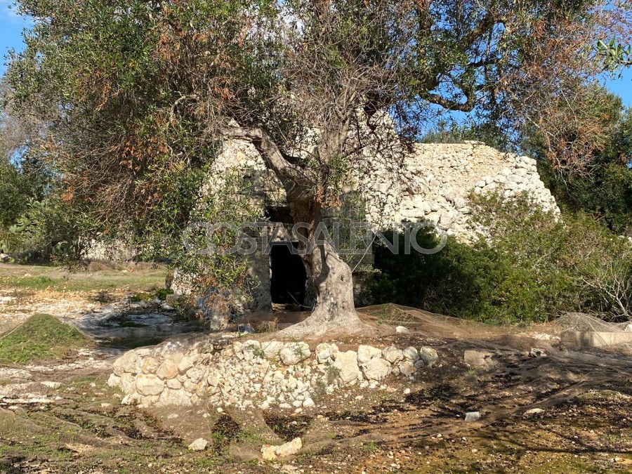 PAJARE MONUMENTALI VISTA MARE