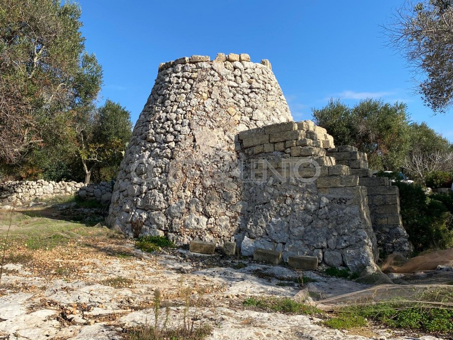 PAJARE MONUMENTALI VISTA MARE