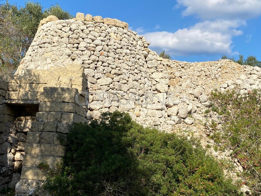 PAJARE MONUMENTALI VISTA MARE