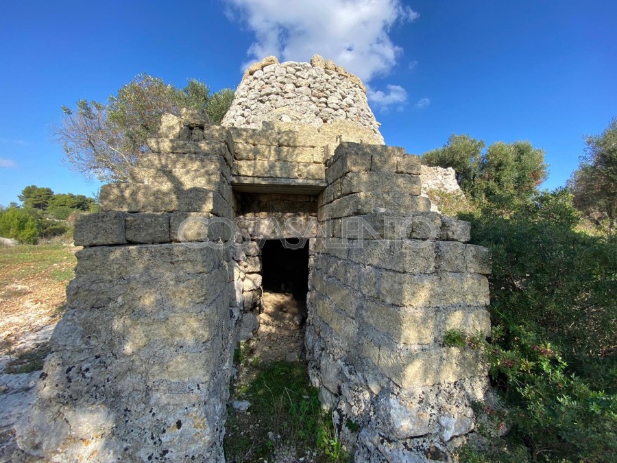 PAJARE MONUMENTALI VISTA MARE