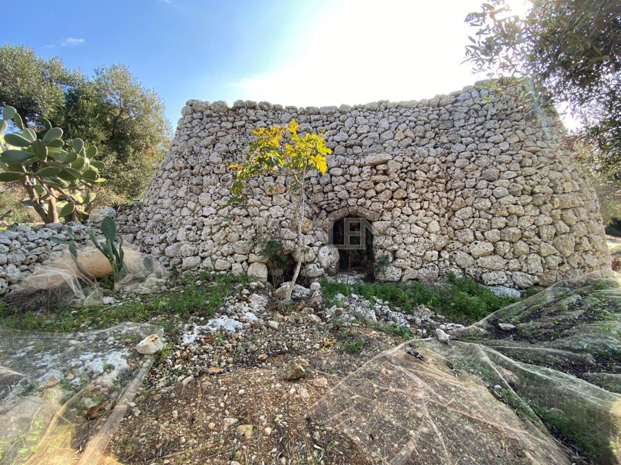 PAJARE MONUMENTALI VISTA MARE