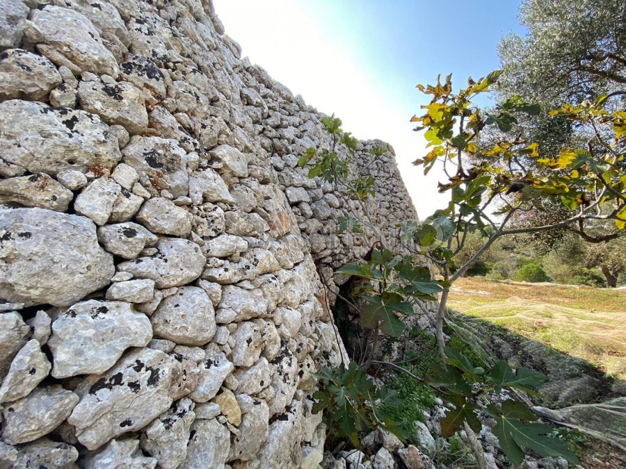 PAJARE MONUMENTALI VISTA MARE