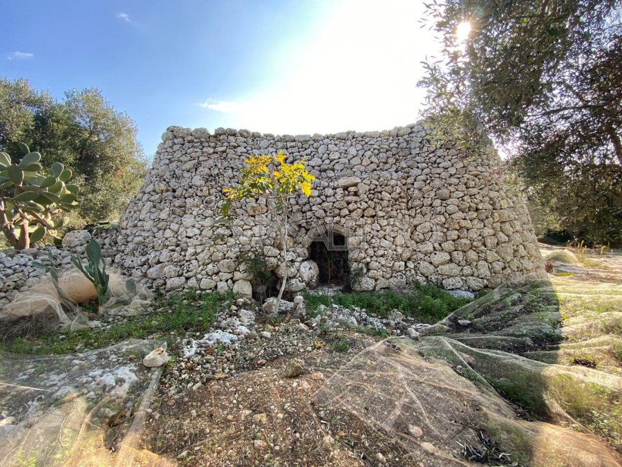 PAJARE MONUMENTALI VISTA MARE