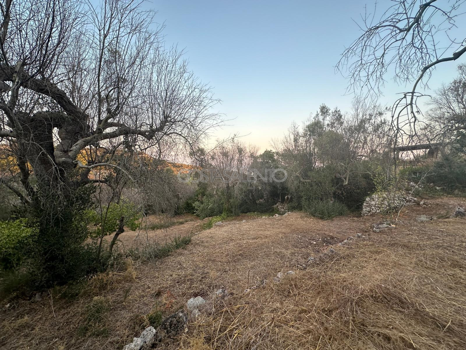 Terreno con progetto approvato