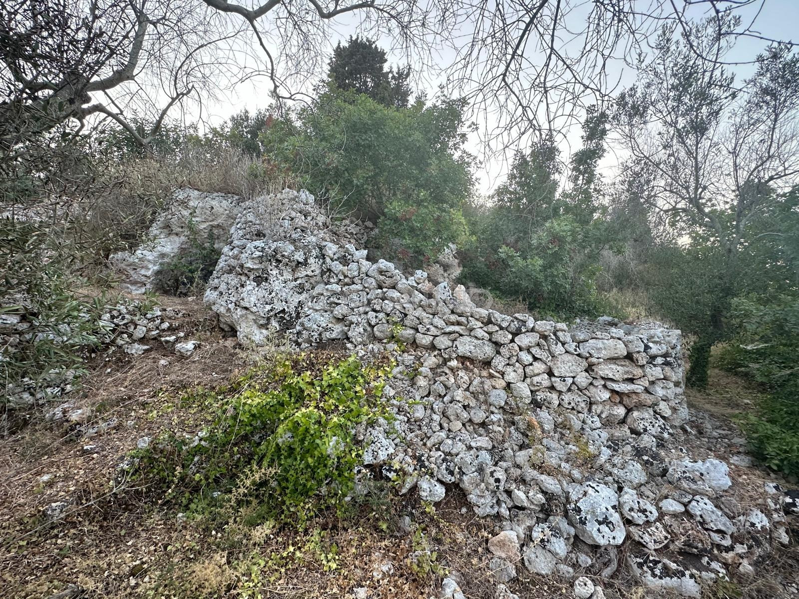 Terreno con progetto approvato