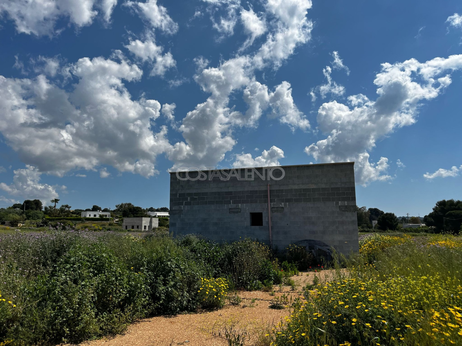 La Dea di  Pescoluse