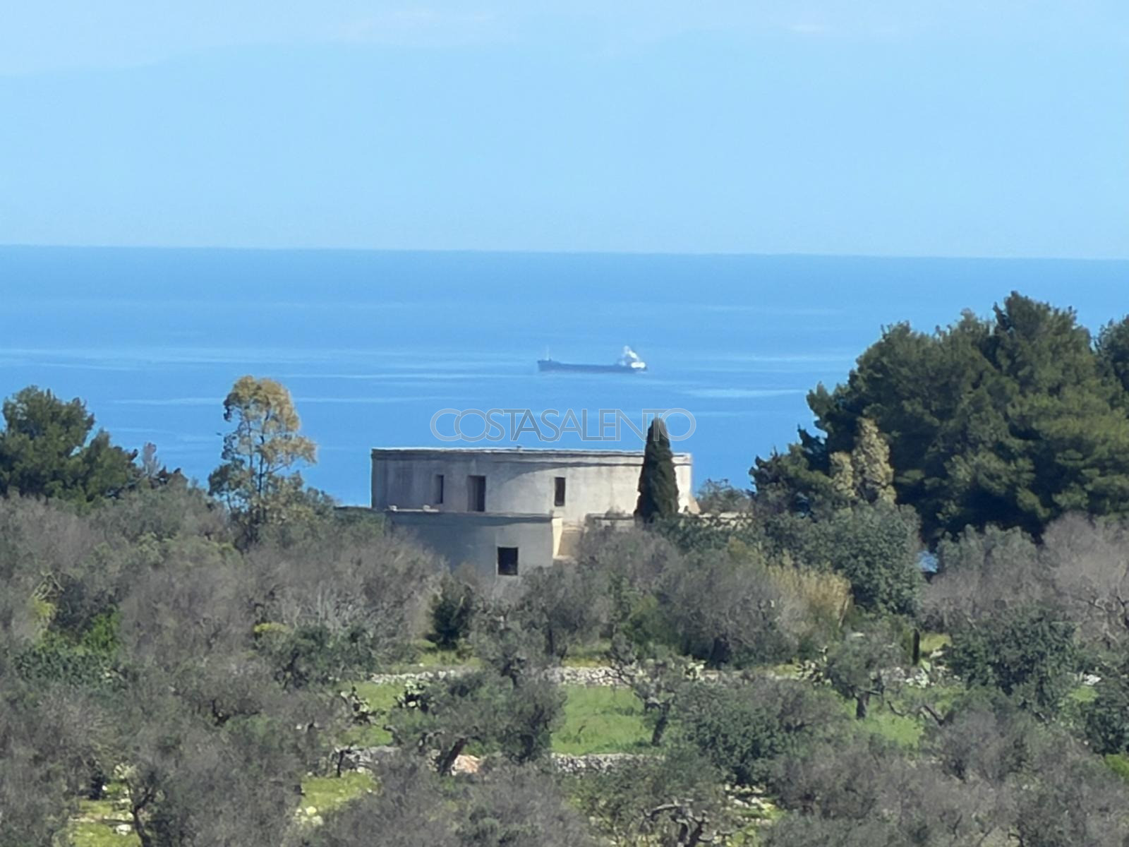 Bellavista
